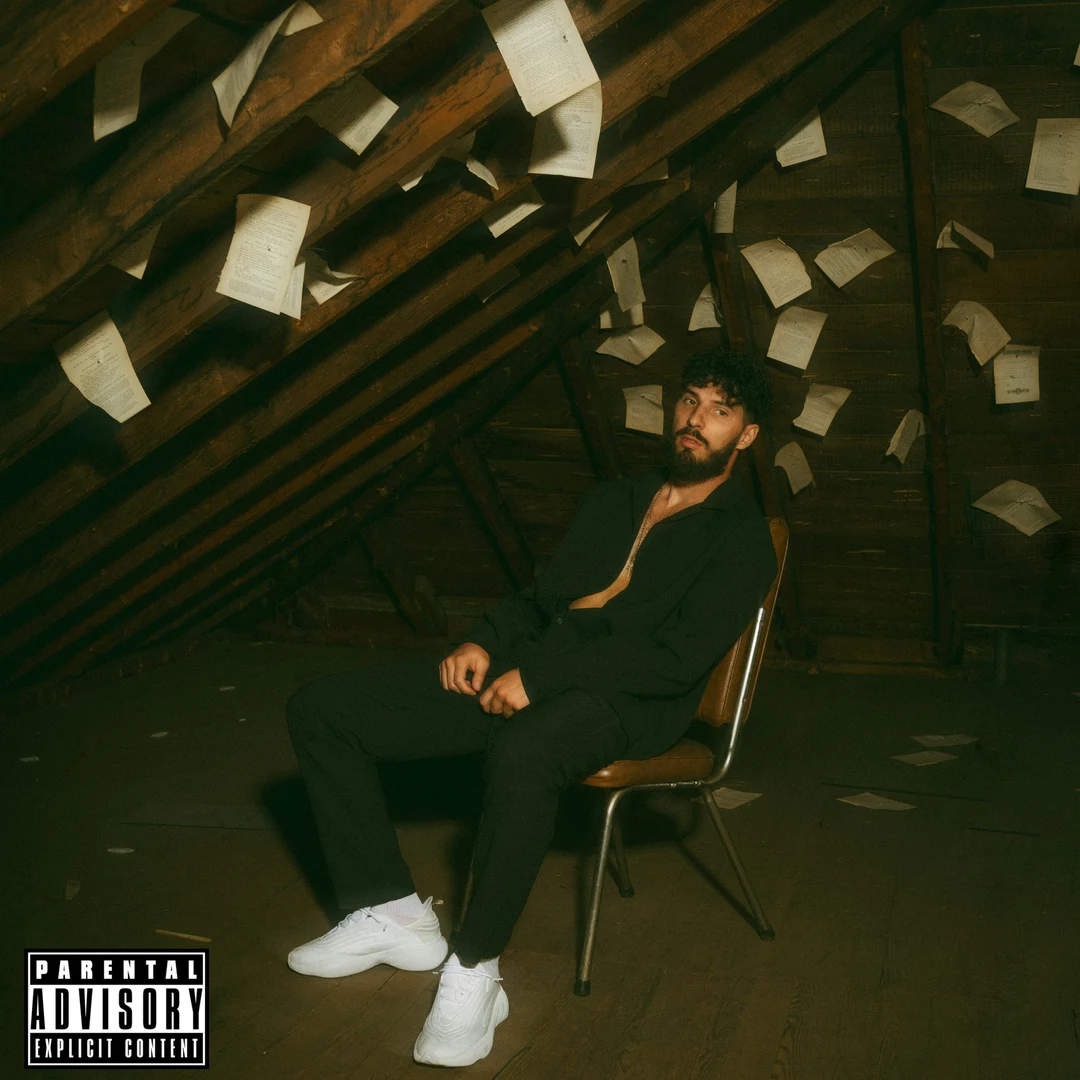 Picasso In The Attic cover art
